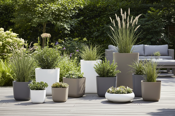 Lawn & Garden