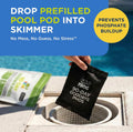 FROG 90-Day GoodBye Phos skimmer pod for in-ground and above-ground pools