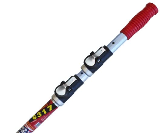 SKI6317